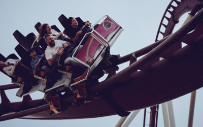 The Rules of the Roller Coaster… And Your Business